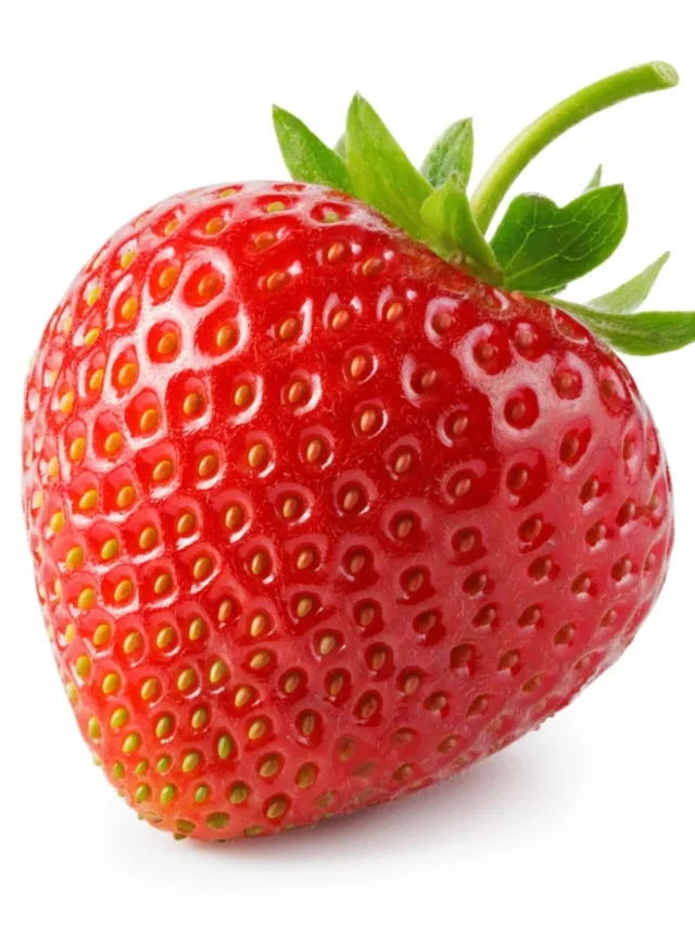 4wwQNKxhra9z9oUaPfwkP3