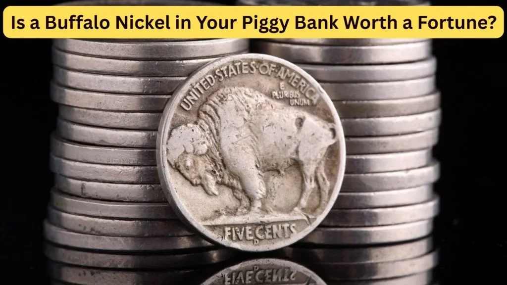 Is a Buffalo Nickel in Your Piggy Bank Worth a Fortune?